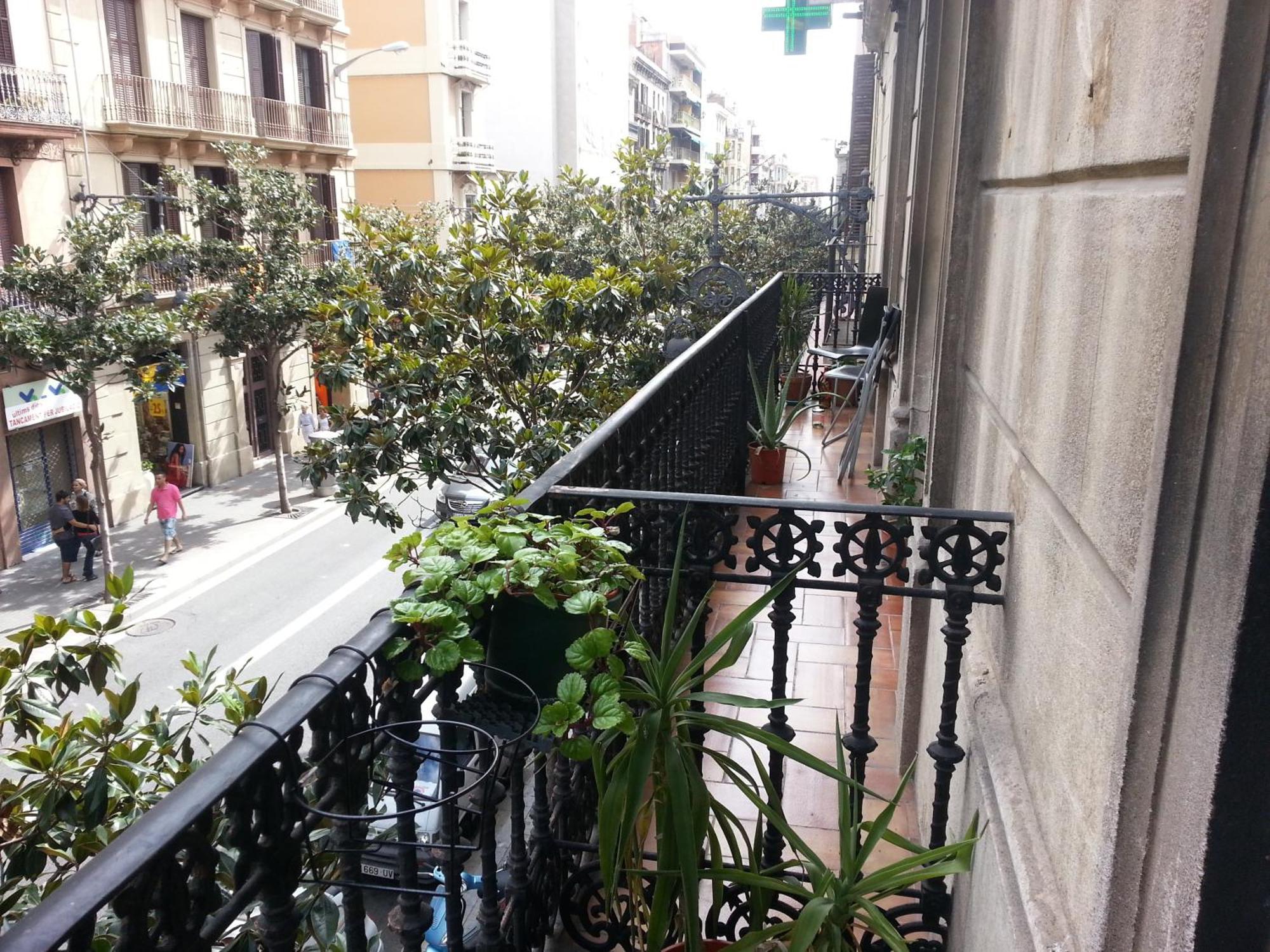 Barcelona Housing Recommend For Students — Photos 3